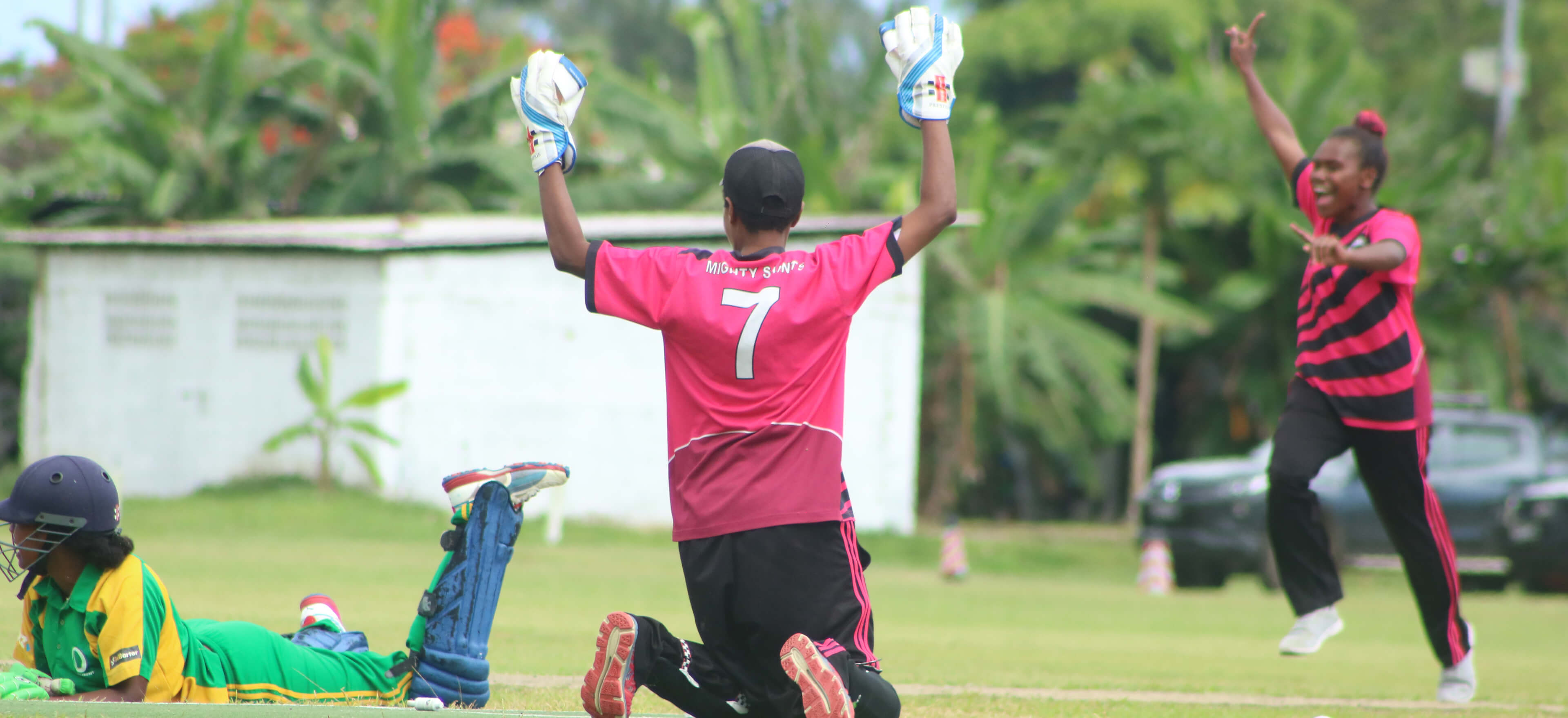 People playing cricket