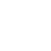 rugby union icon