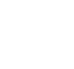 boy and girl holding a flag icon