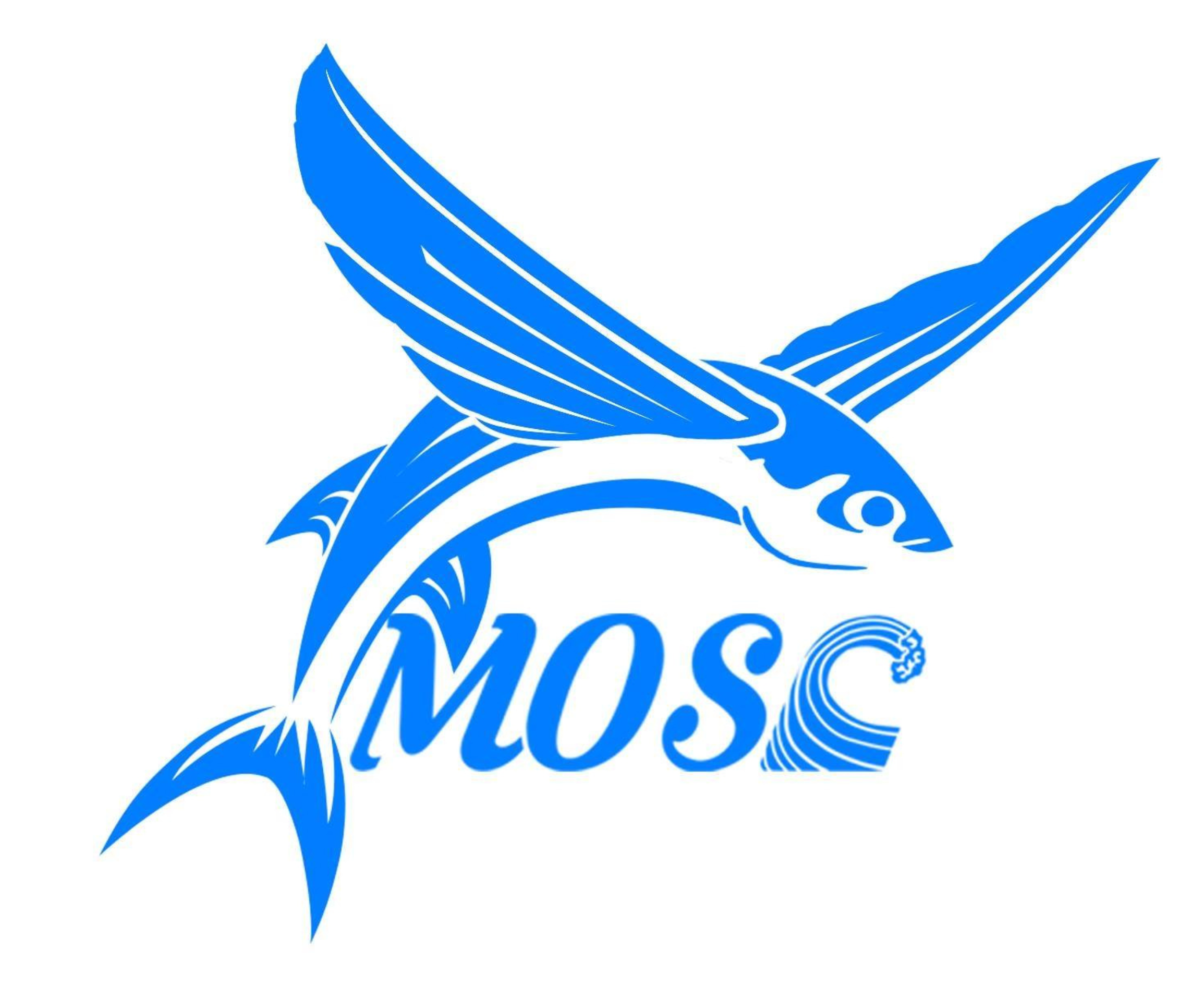Logo depicting a flying fish